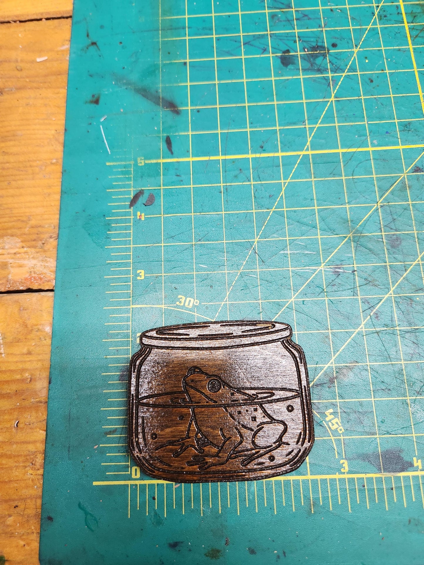 Frog in a Jar Magnet