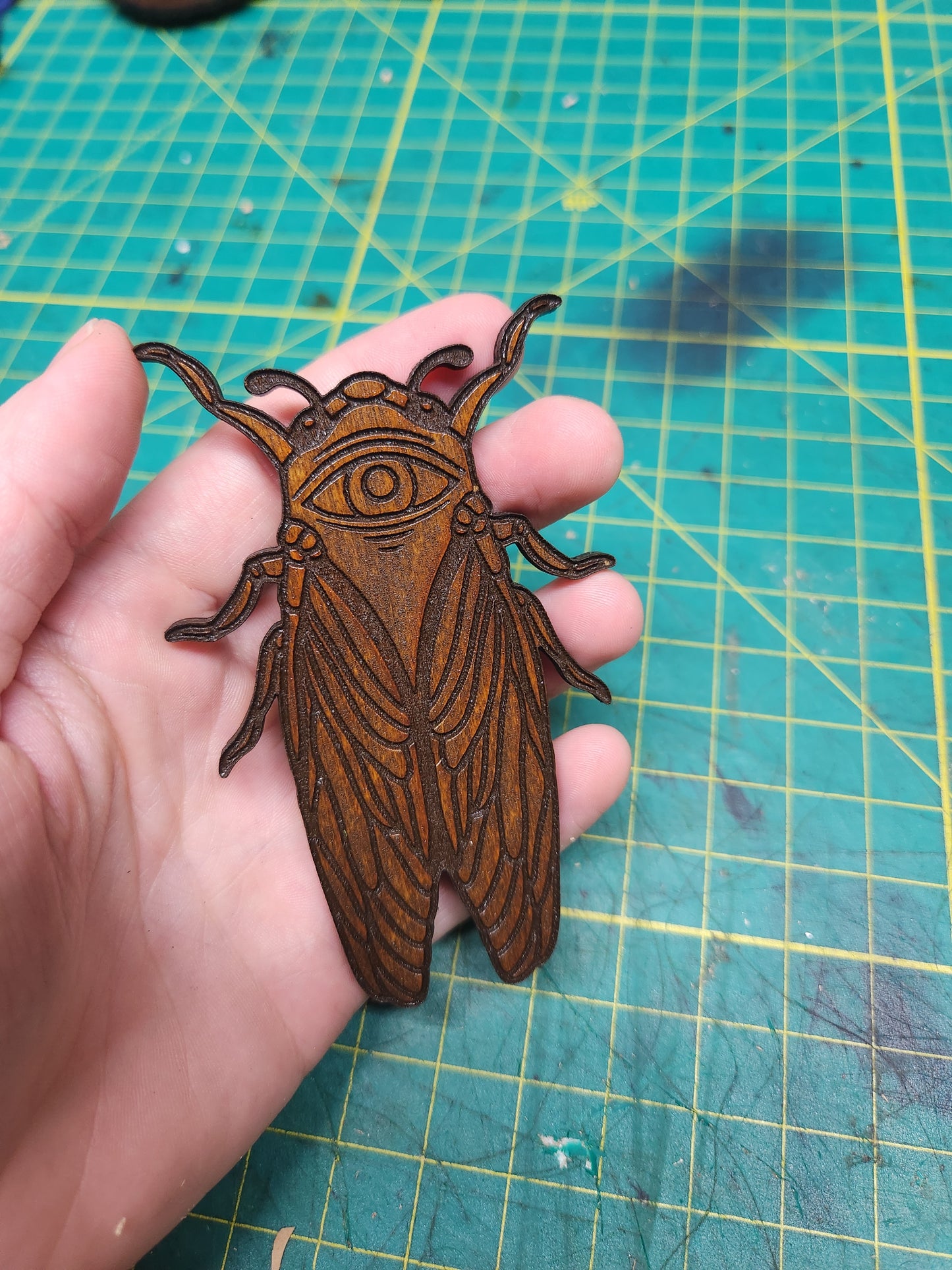 Cicada Magnet – Birch Ply, Goblincore Fridge Decor