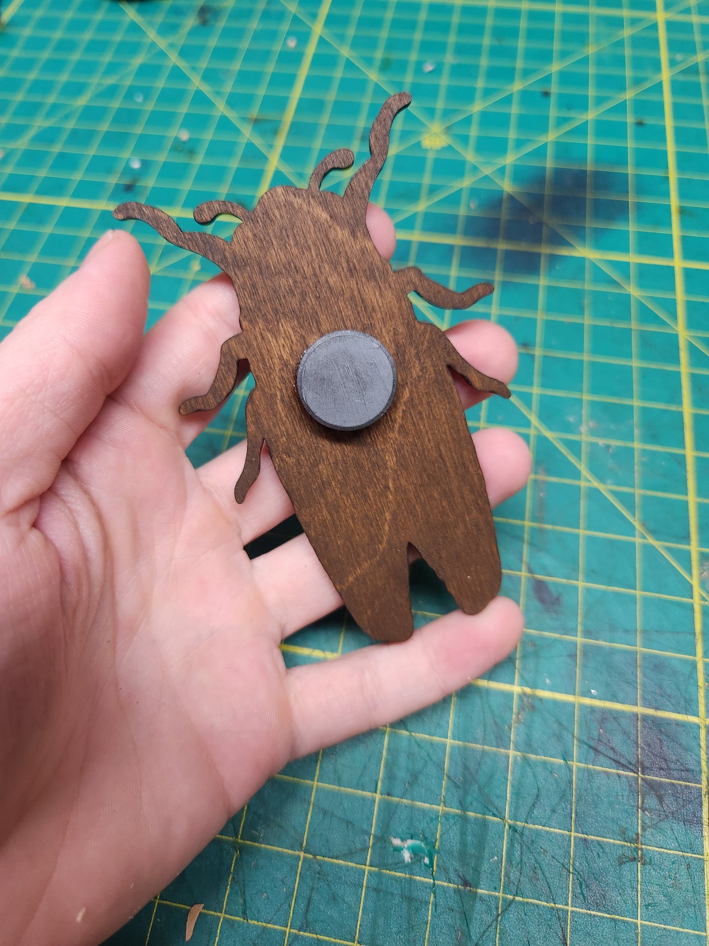Cicada Magnet – Birch Ply, Goblincore Fridge Decor