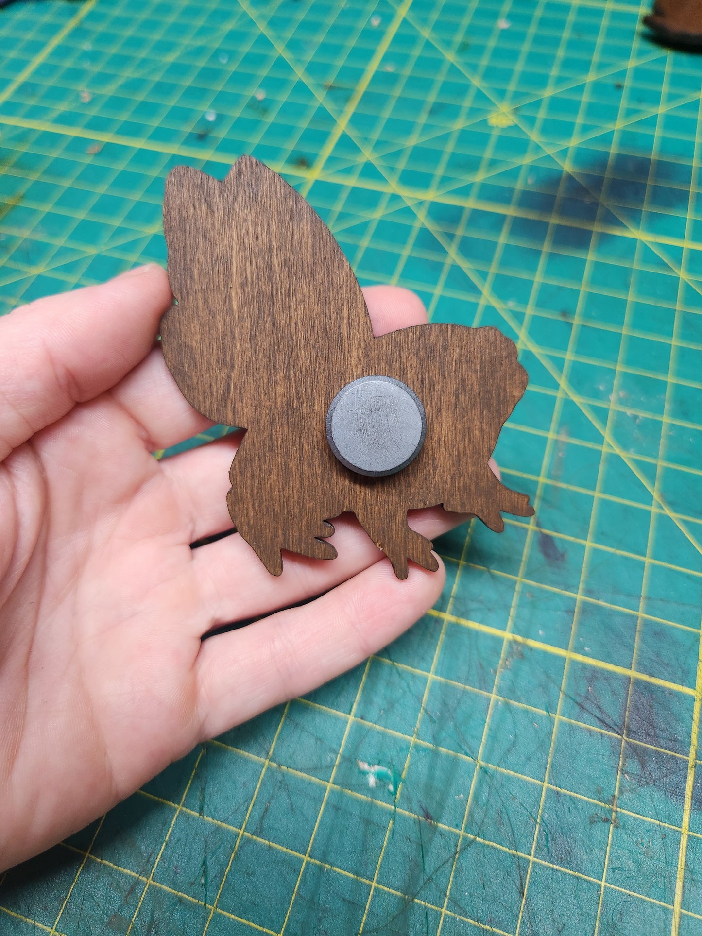 Flying Frog Magnet - Birch Plywood