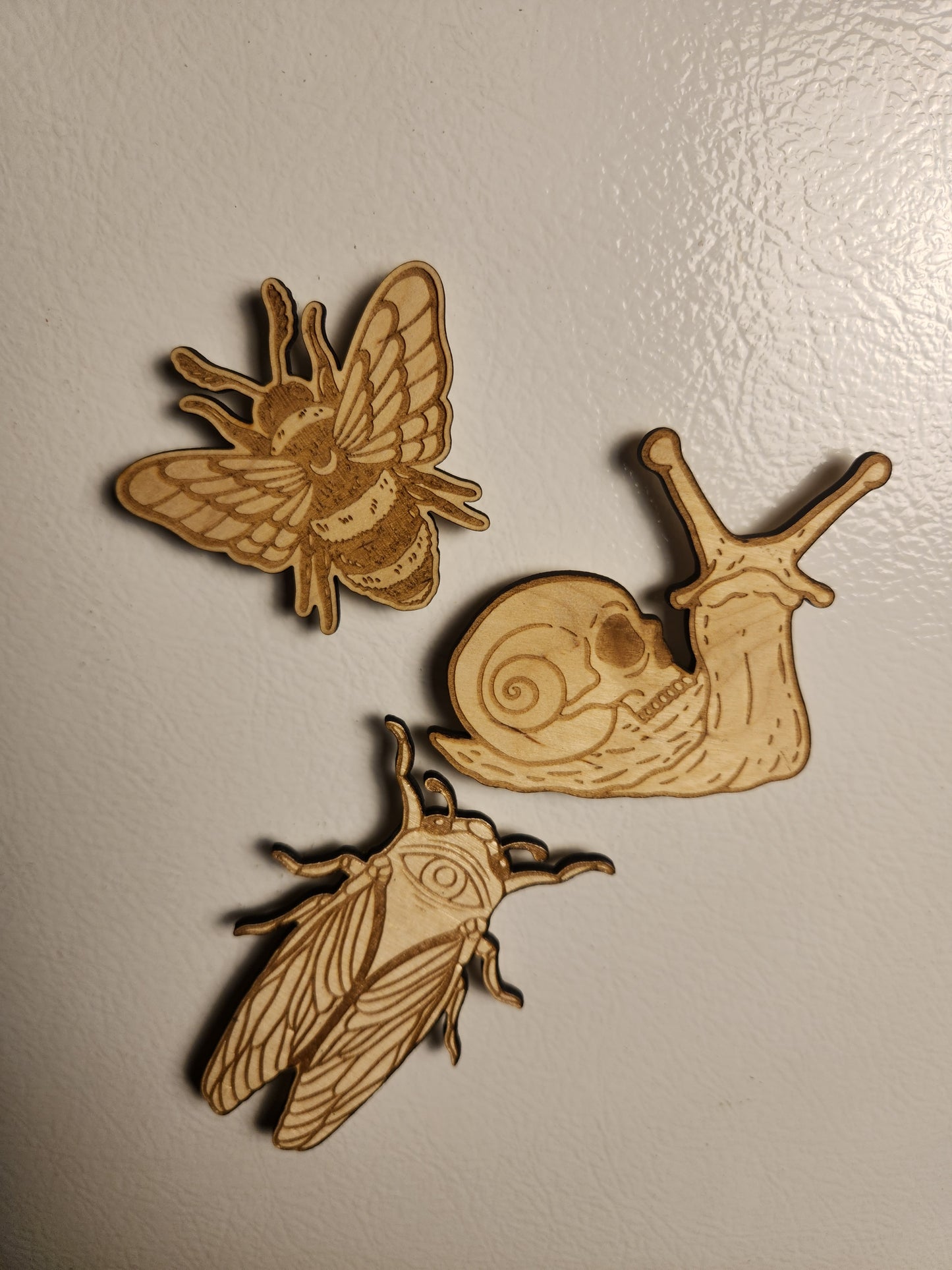 Cicada Magnet – Birch Ply, Goblincore Fridge Decor